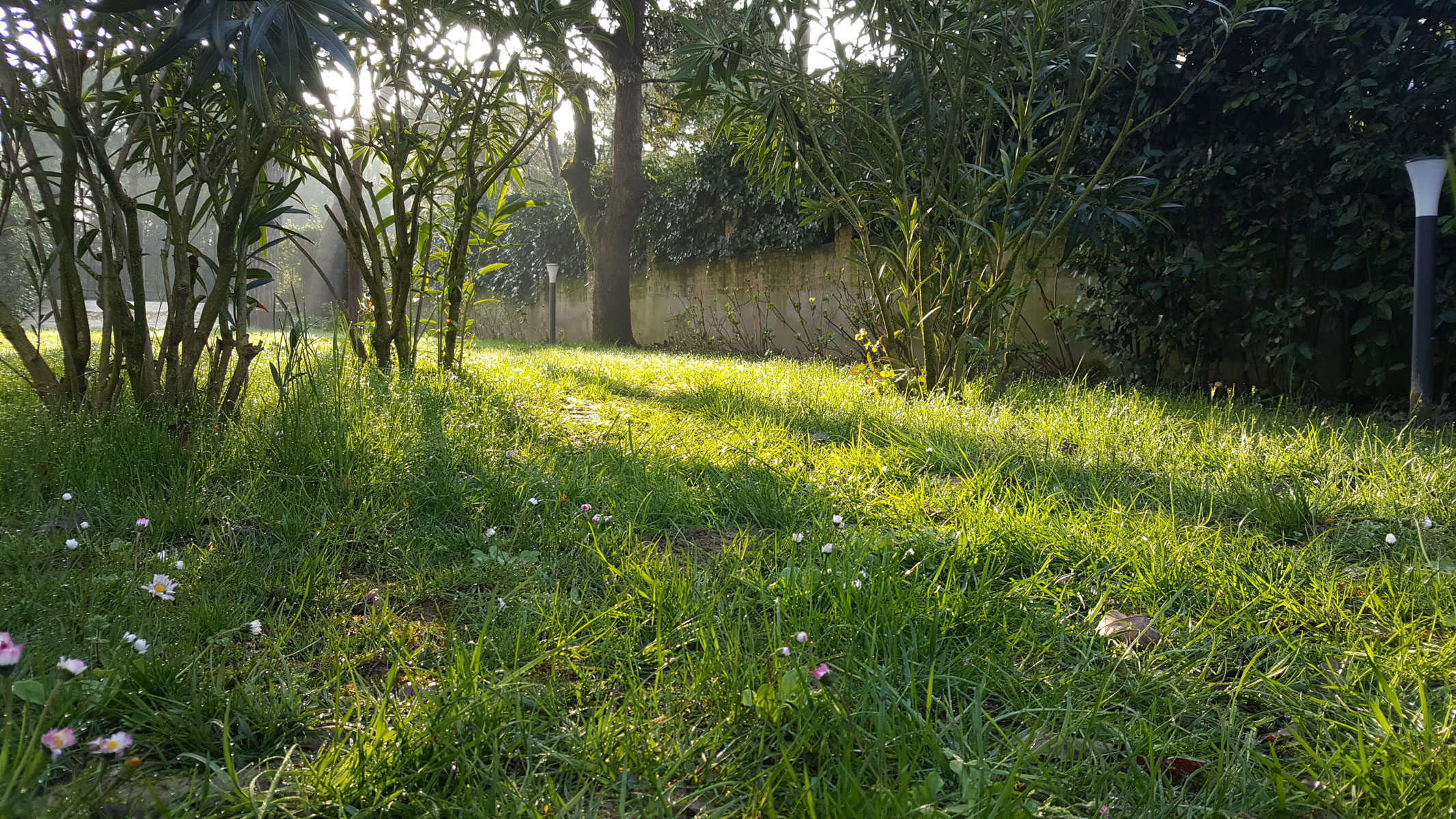 Giardino illuminato