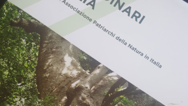 UN LIBRO AL MESE ֍ gennaio 2020 ֍