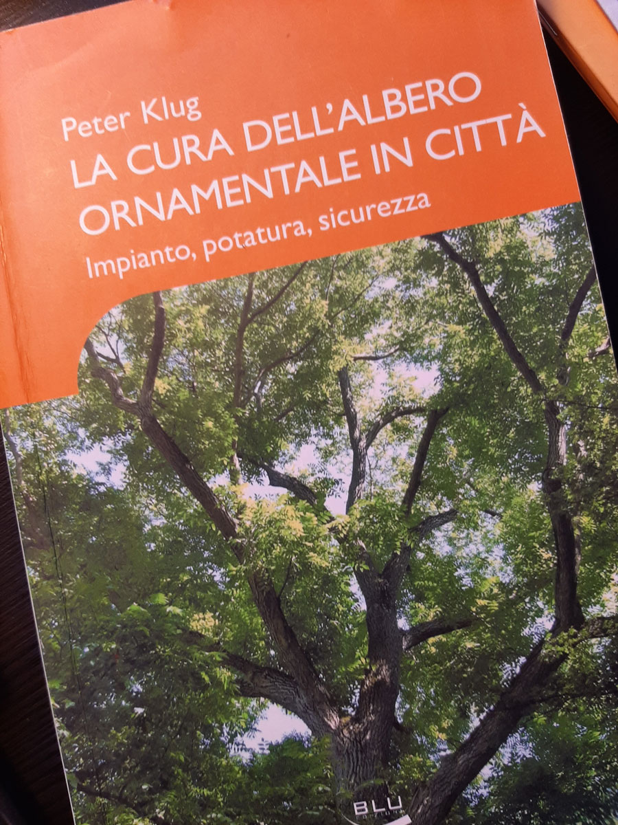 La cura dell'albero ornamentale in città