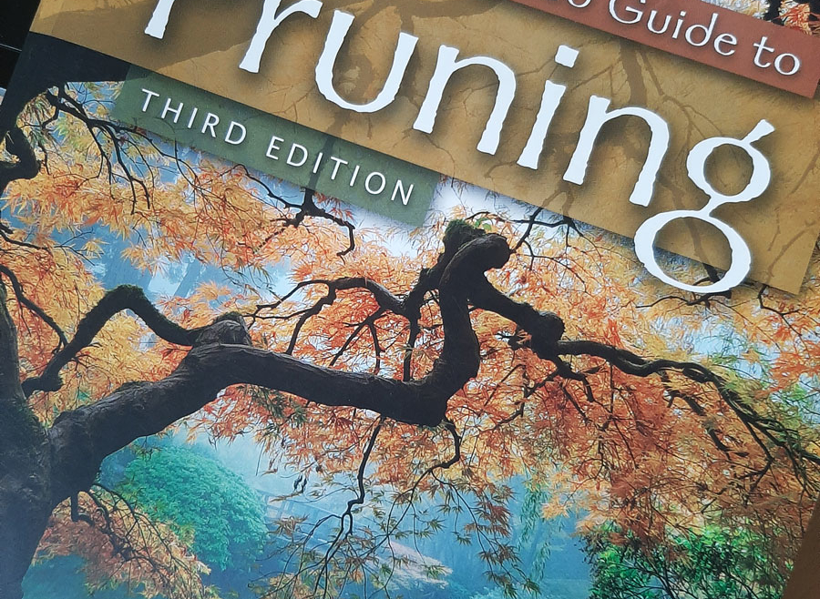 UN LIBRO AL MESE ֍ giugno 2020 ֍