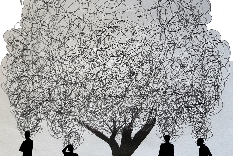 L’albero del vicino – Gli alberi e il codice civile